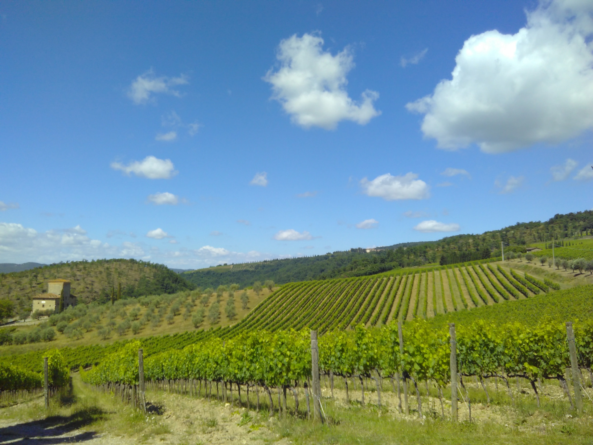 Hero L'anello di Volpaia