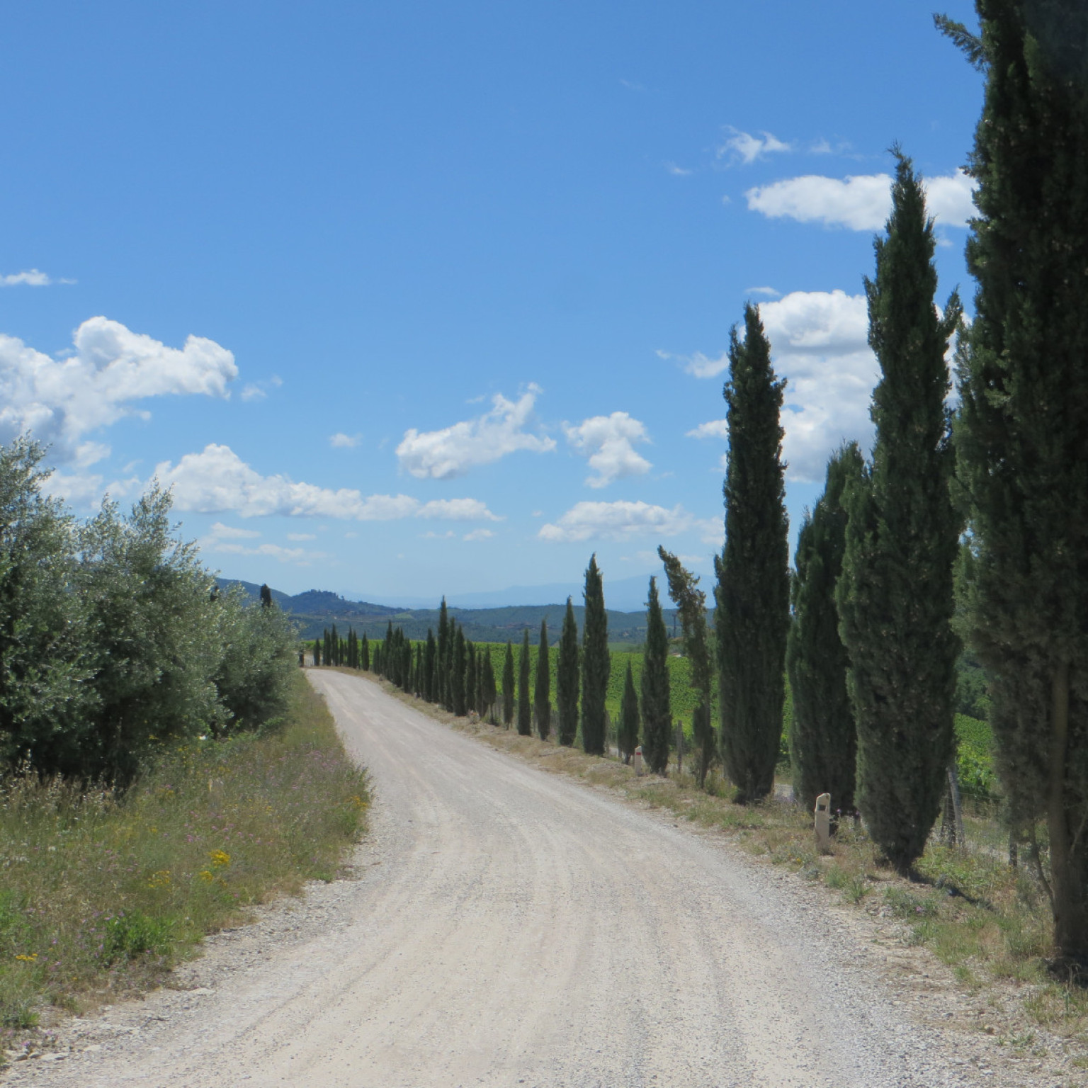 Hero Castellina in Chianti