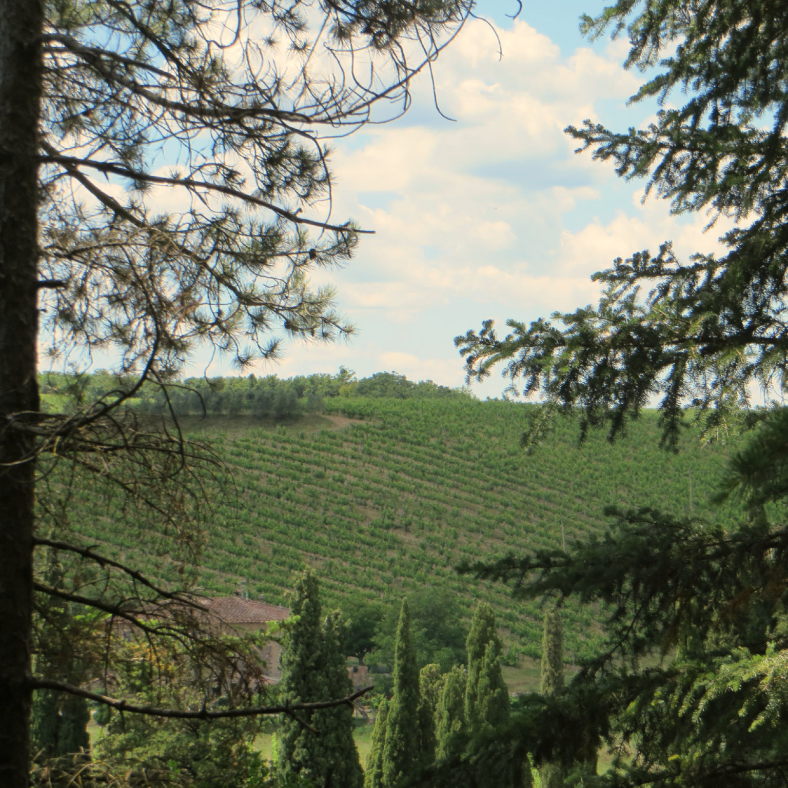 Hero Brolio Castle and Pievasciata Chianti Sculpture Park