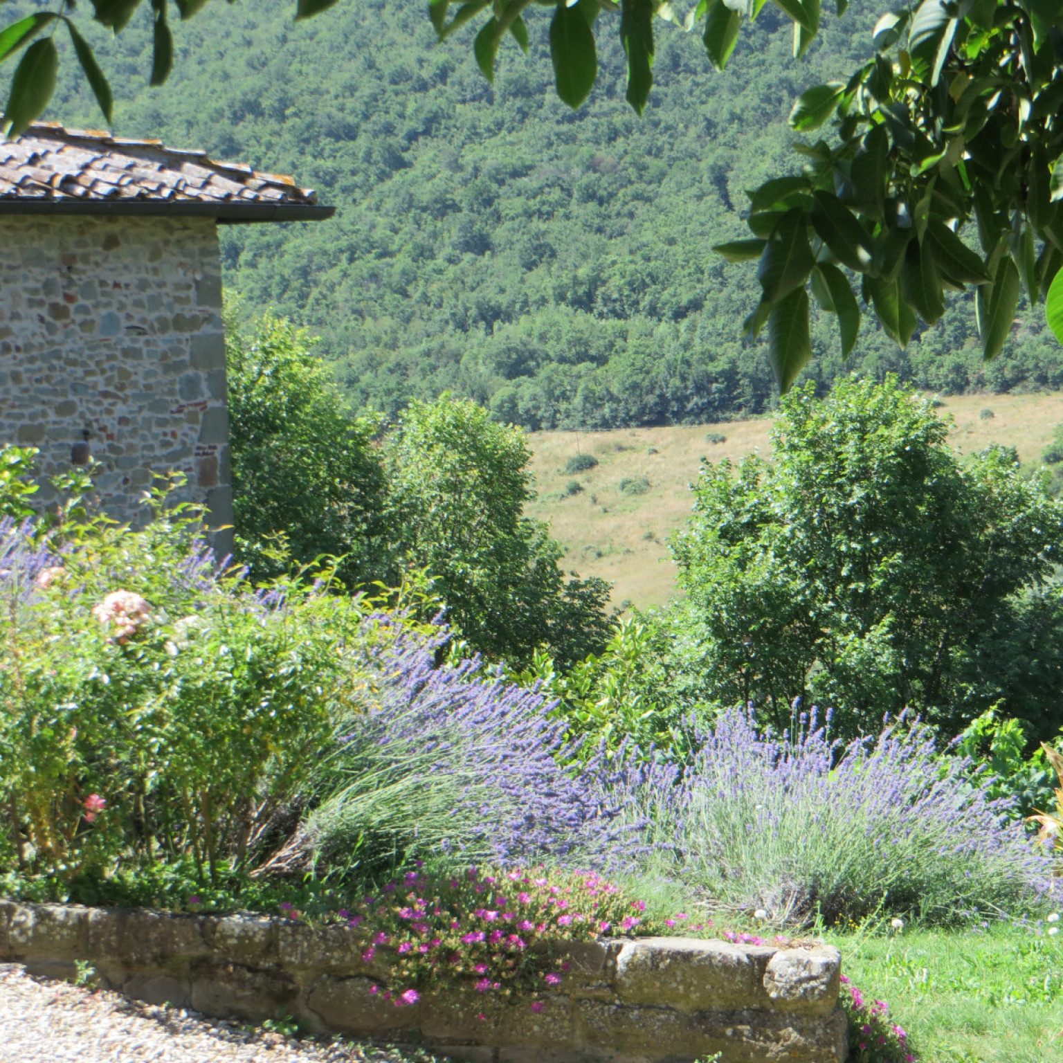 Hero Cintoia Castle and Mount Scalari