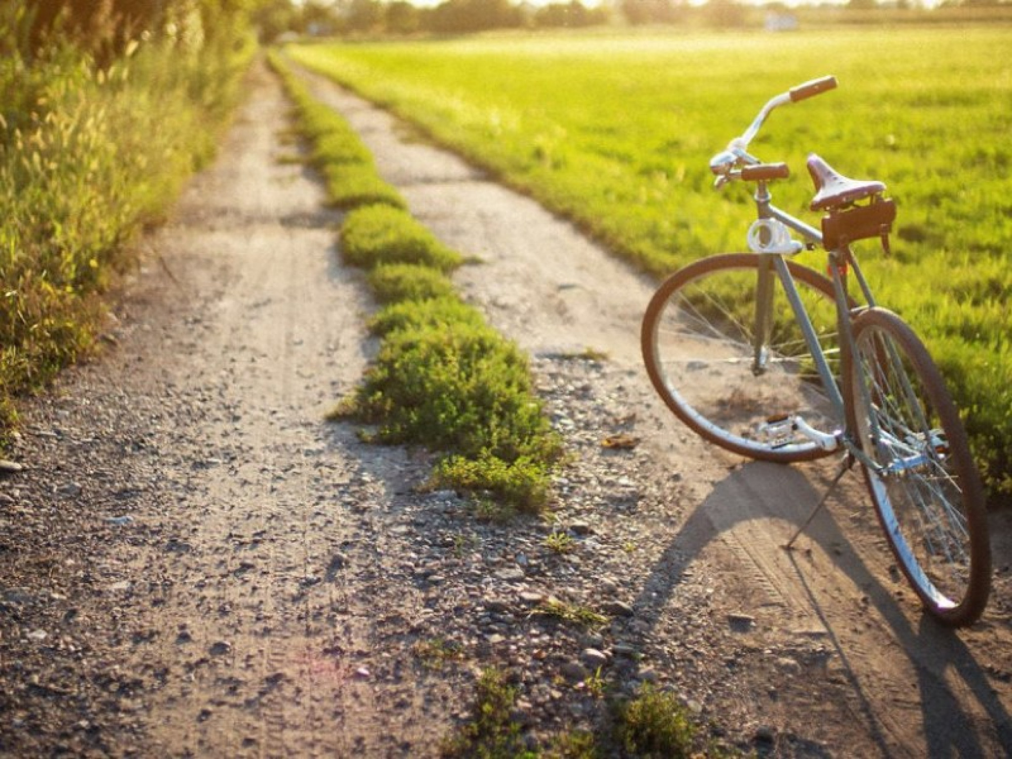 Hero Percorso da Oscar: i luoghi del film di Guadagnino