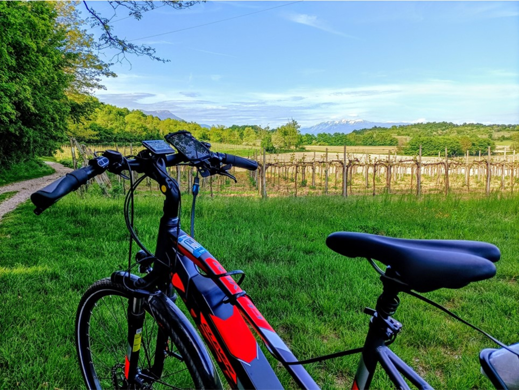 Hero Start at the Weekend and visit Valtenesi through a tour in the nature with horses and on a fresh route