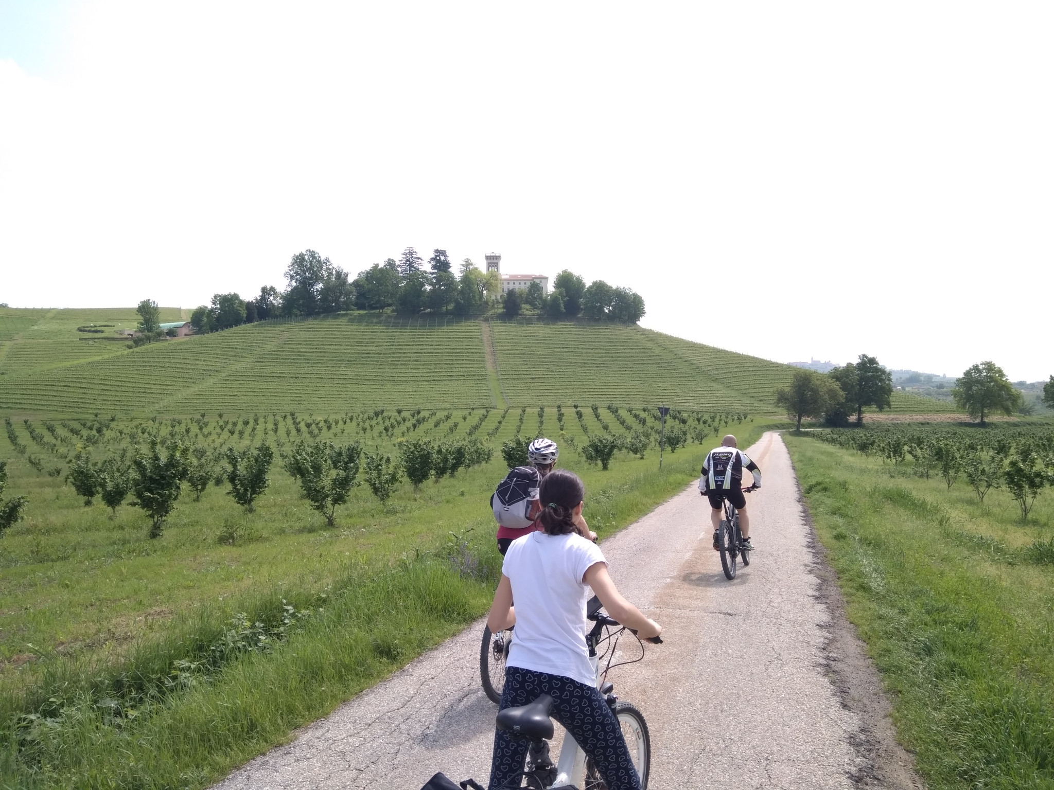 Hero Langa del Barolo da Alba in E-bike in mezza giornata