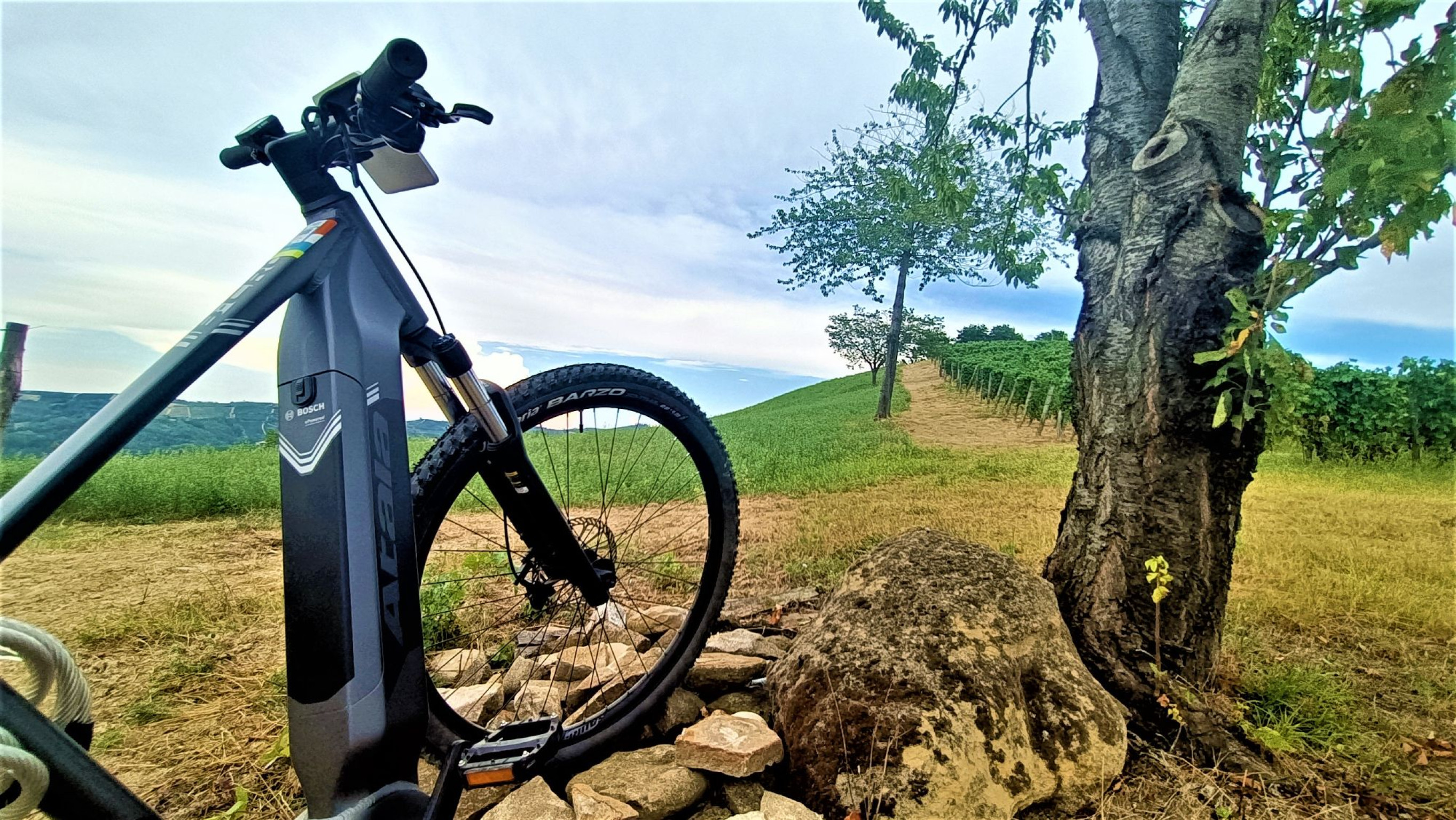 Hero In MTB tra vigneti e boschi delle Langhe del Barbaresco