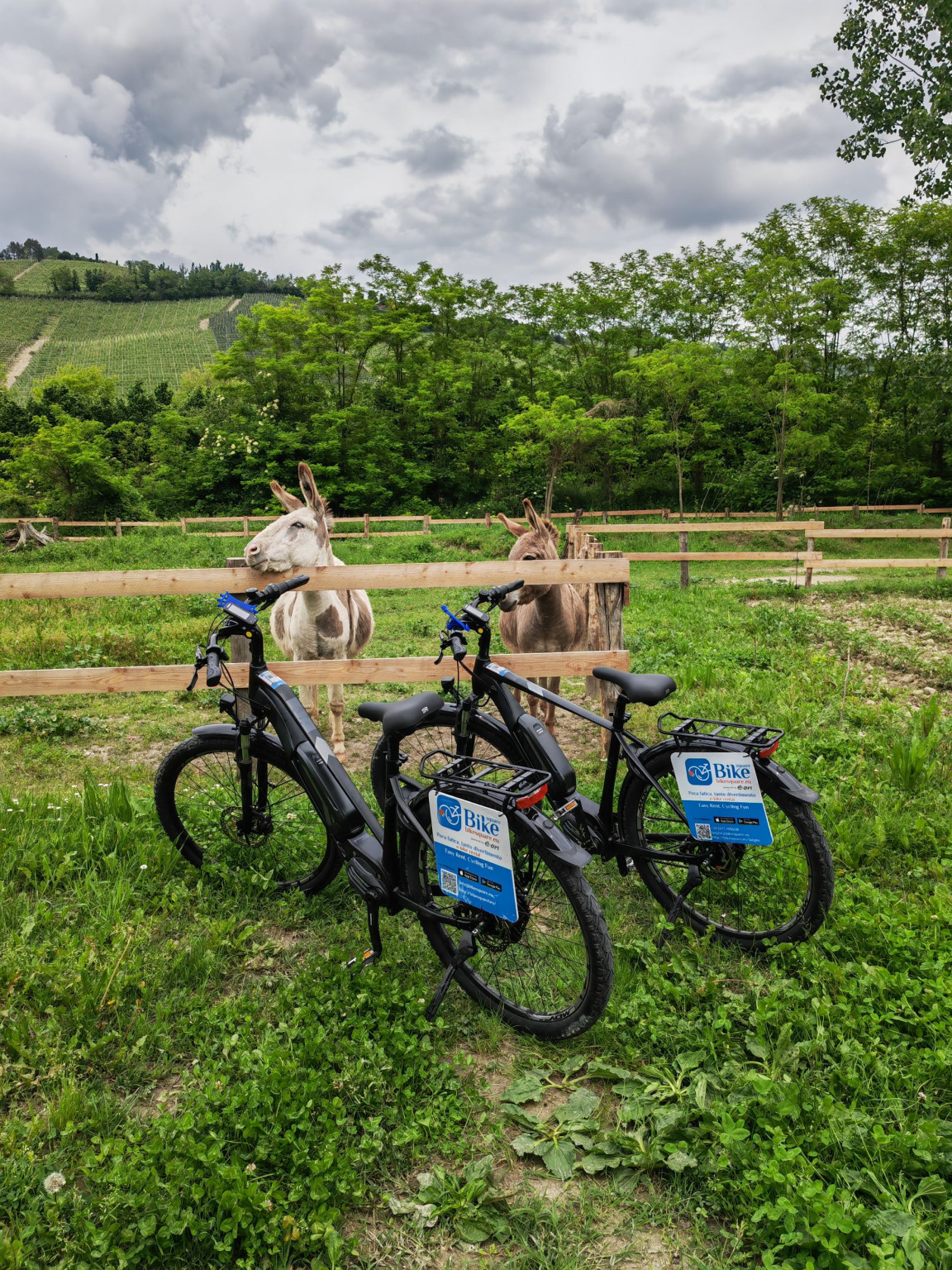 Hero Barbaresco e le Rocche dei Sette Fratelli in e-bike