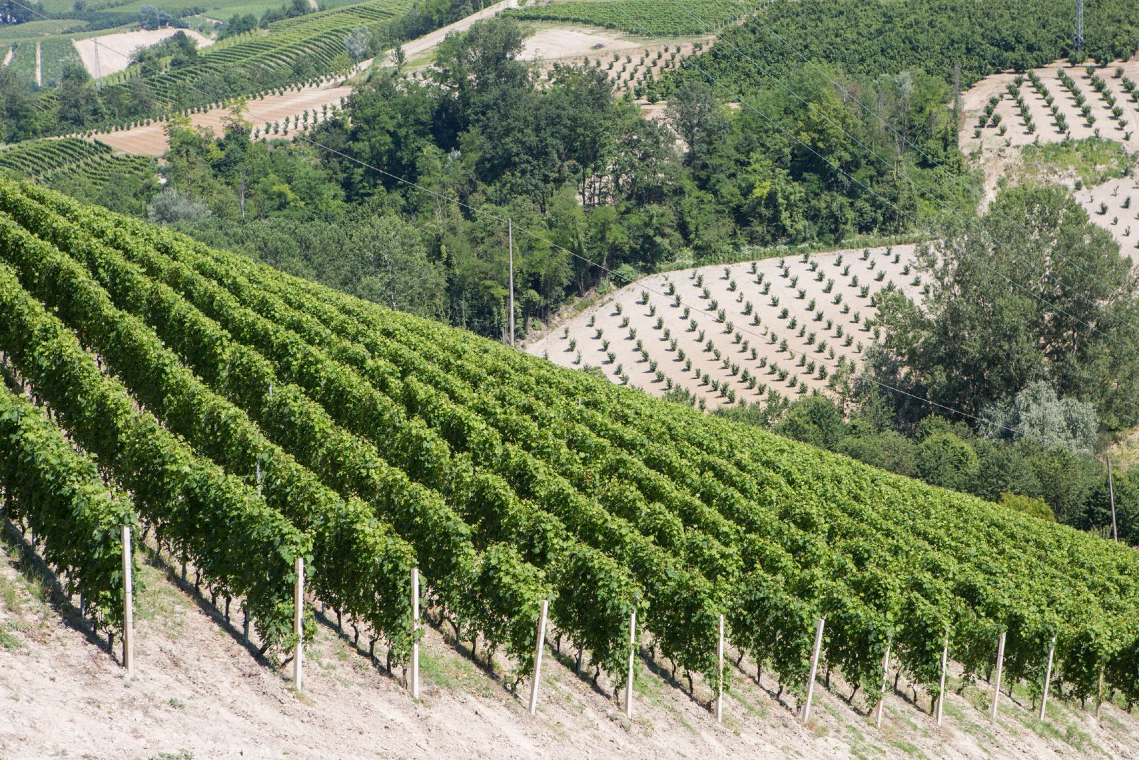 Hero Giorno 6: Neviglie, Trezzo Tinella, Pavaglione, Coazzolo