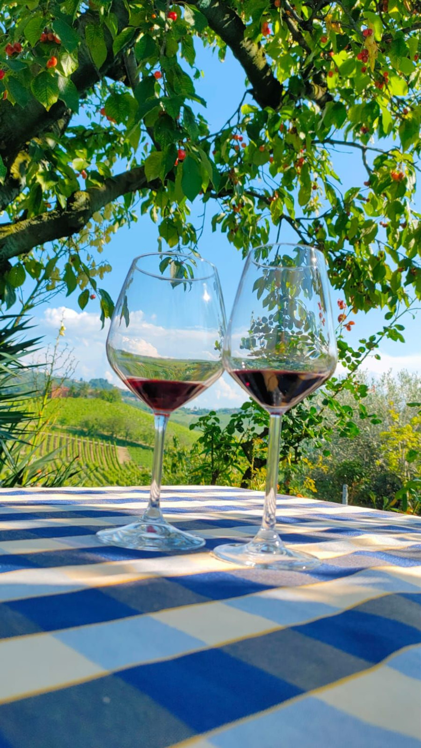 Hero Tour di una settimana in Langa, Barolo, Dogliani e Barbaresco