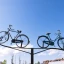 Dogliani: il Dolcetto e le Nocciole in ebike