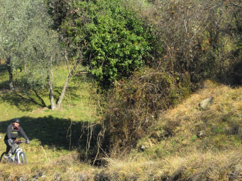 Pedala e Gusta tra i Parchi di Appennino e Alpi Apuane