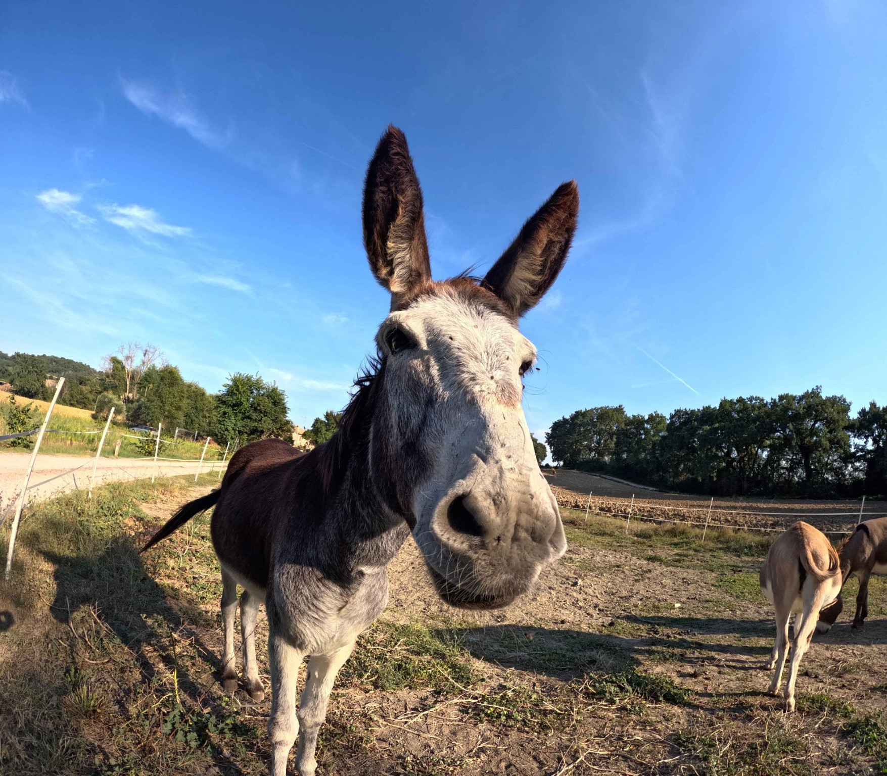 Hero Al parco archeologico Urbs Salvia ed abbazia di Fiastra