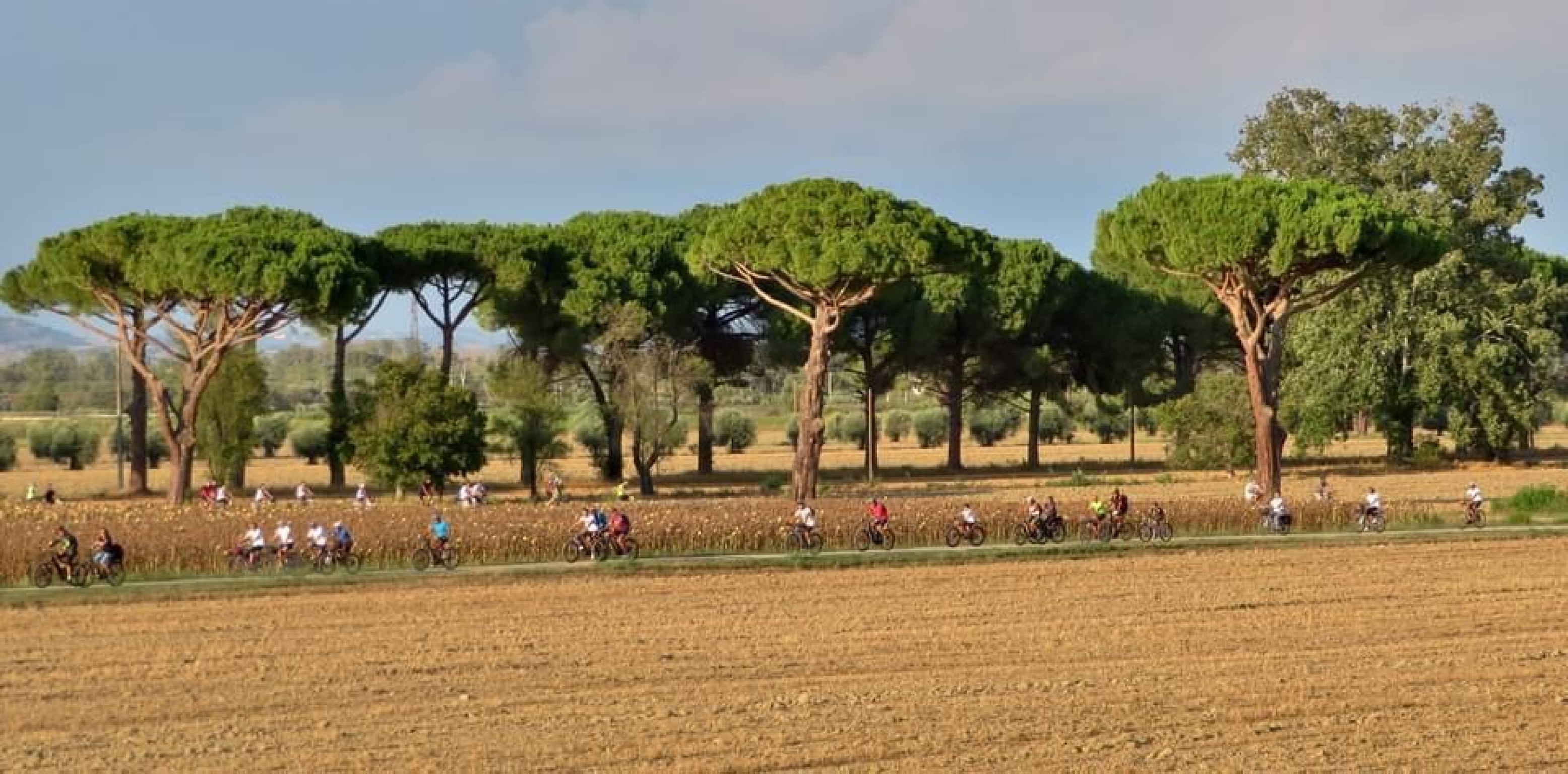 Hero Tour ebike Parco della Maremma Alberese