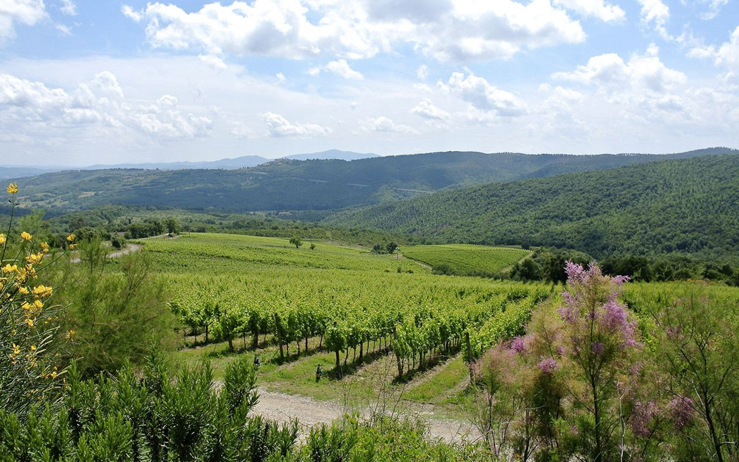 Hero Percorso panoramico tra i colli e la pianura della Maremma