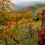 Monferrato acquese in ebike