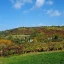 Tra le dolci colline del Monferrato