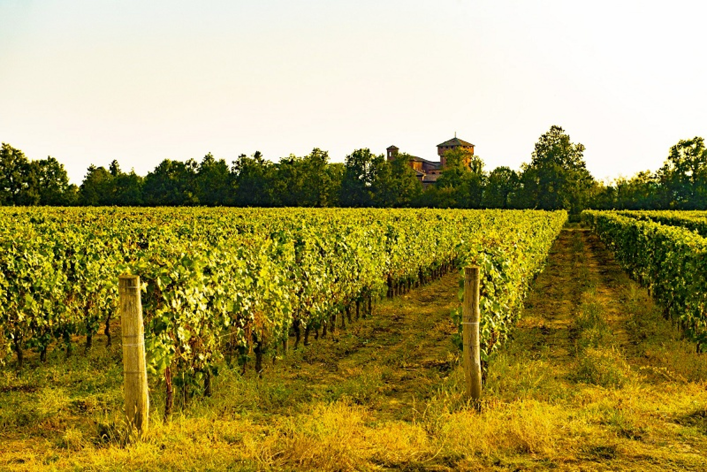Hero Dalla Ciclovia del Po alle colline del Gavi