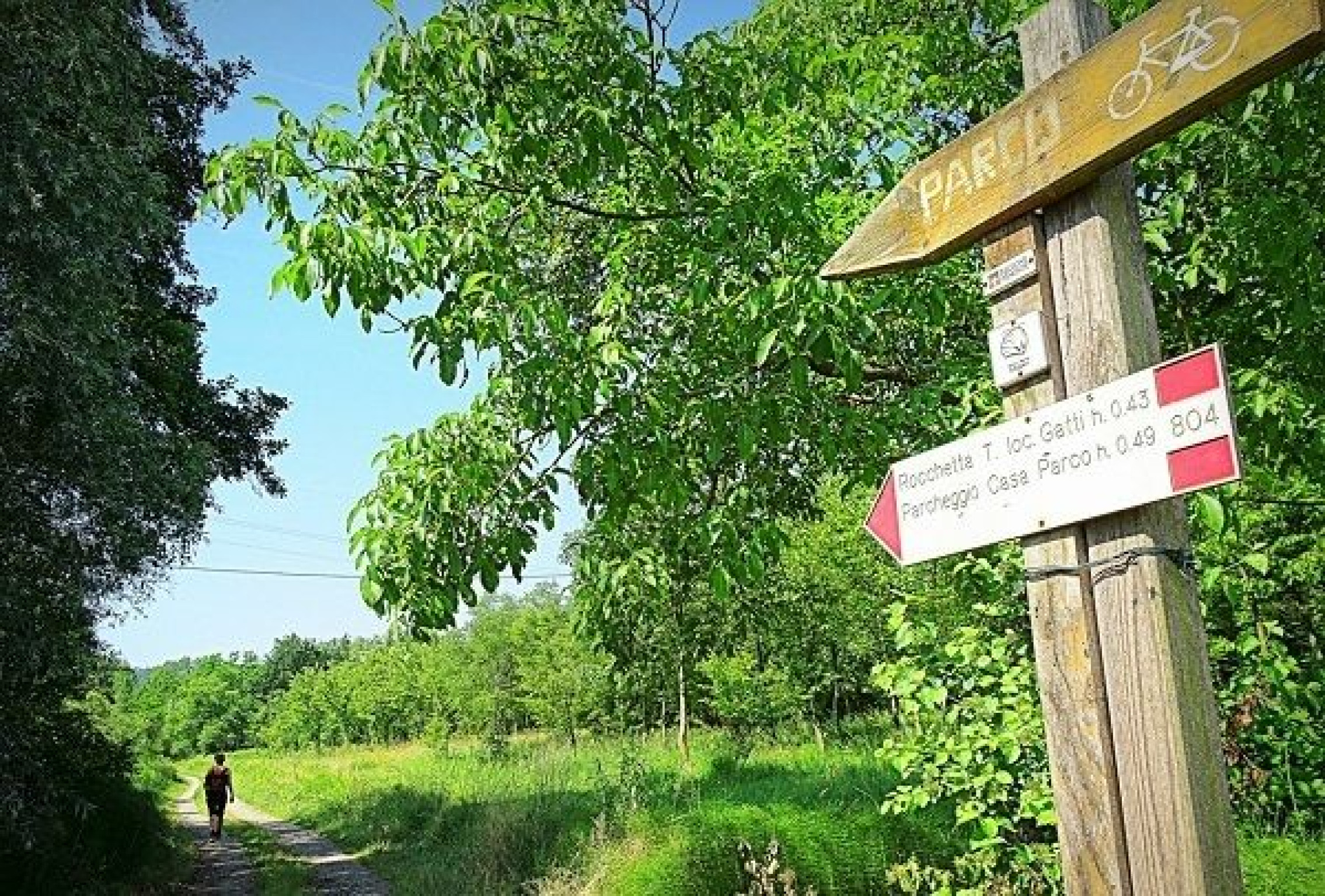 Hero Dal Bricco di Belveglio al Parco di Rocchetta Tanaro in Ebike