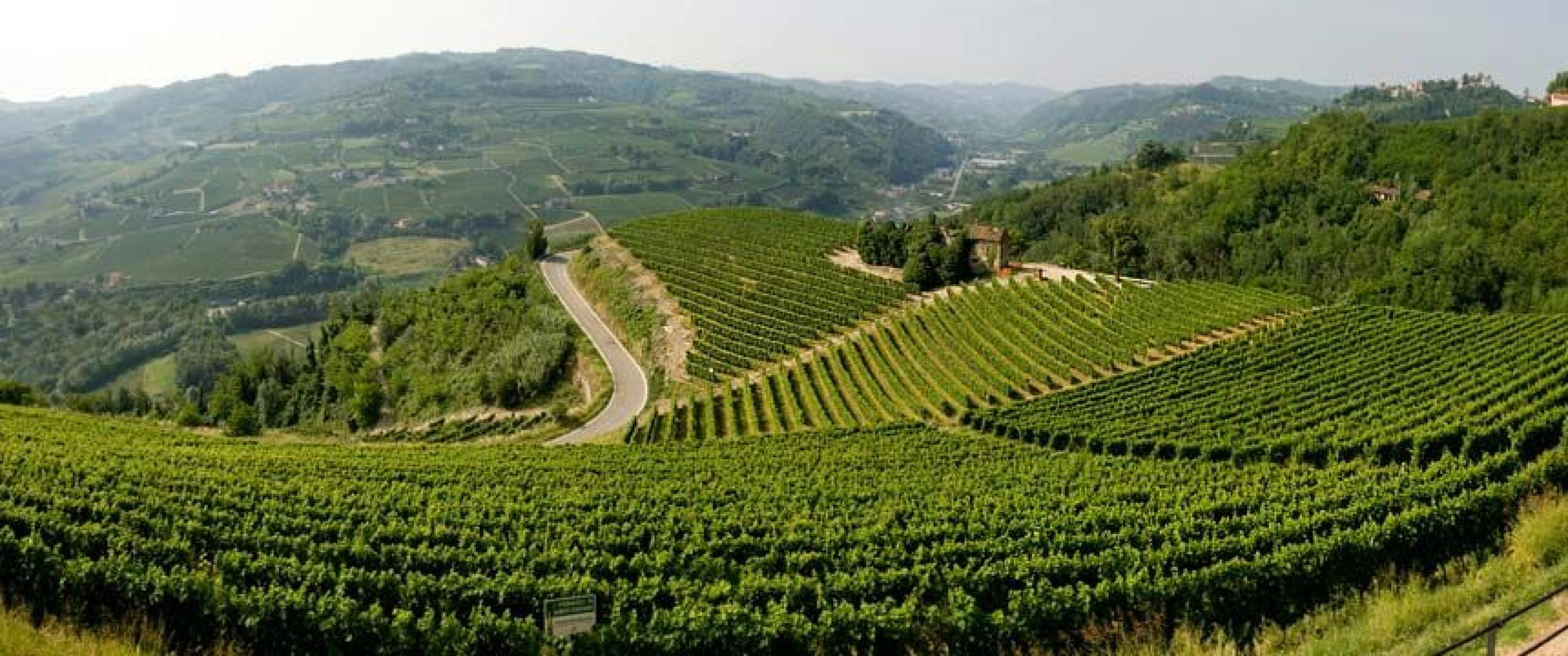 Hero Tojo e le Terre dello Spumante