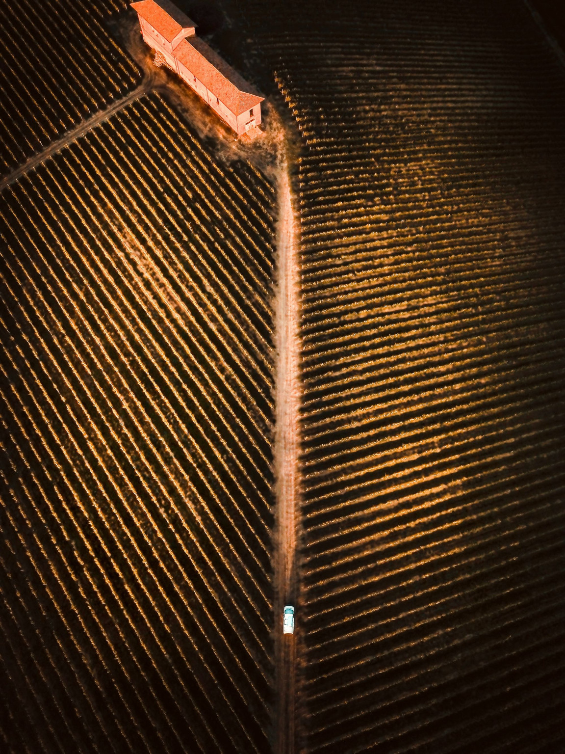 Hero Da Casalotto alle Terre del Moscato e del Brachetto