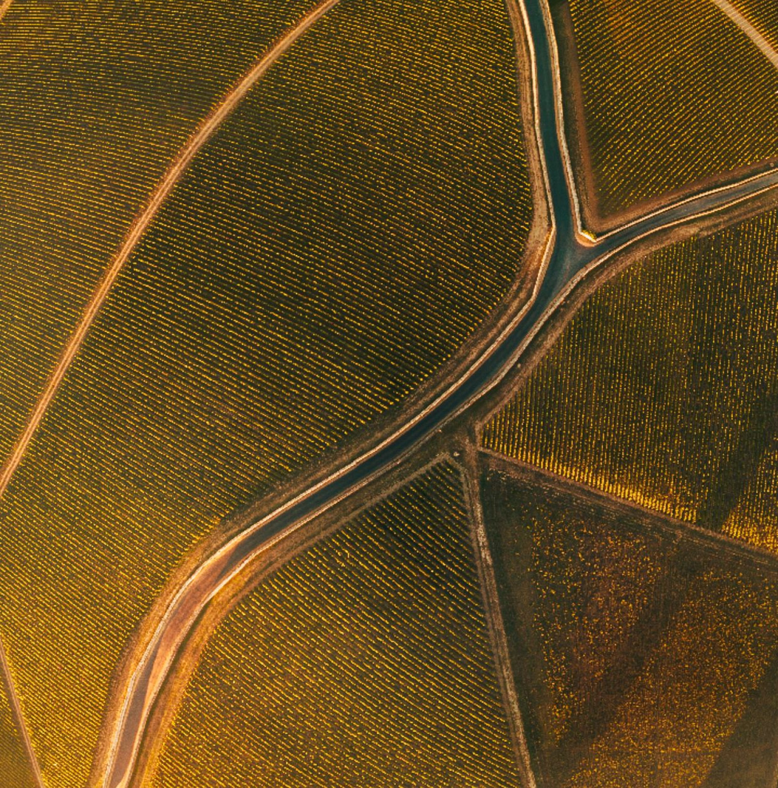 Hero Le Colline degli Amaretti in E-bike