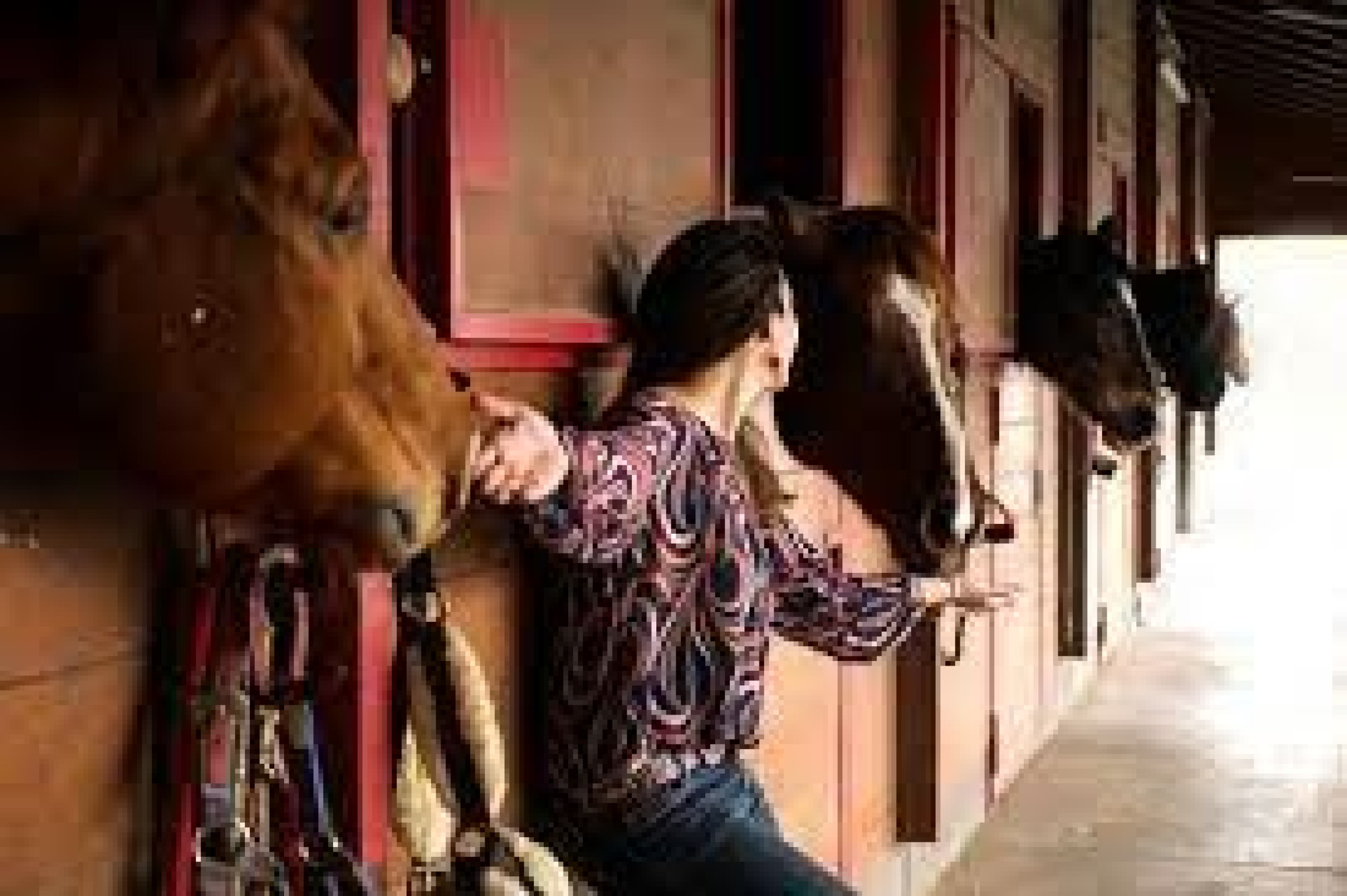 Hero Dall'AC Ranch alla scoperta delle Campagne Alessandrine