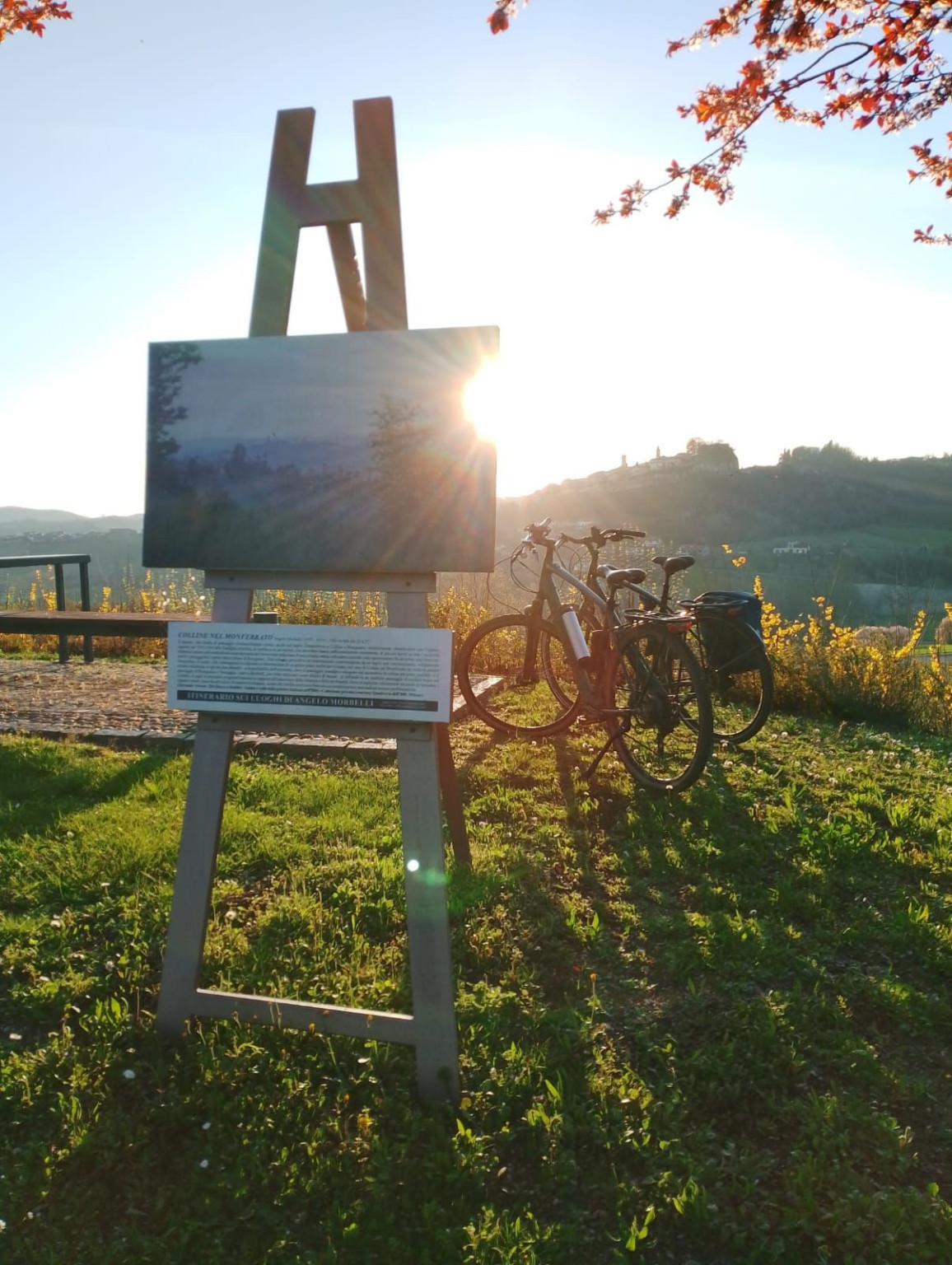 Hero Esplora il Monferrato in E-Bike: Un Viaggio Tra Storia, Paesaggi e Sapori, da Terruggia a Rosignano
