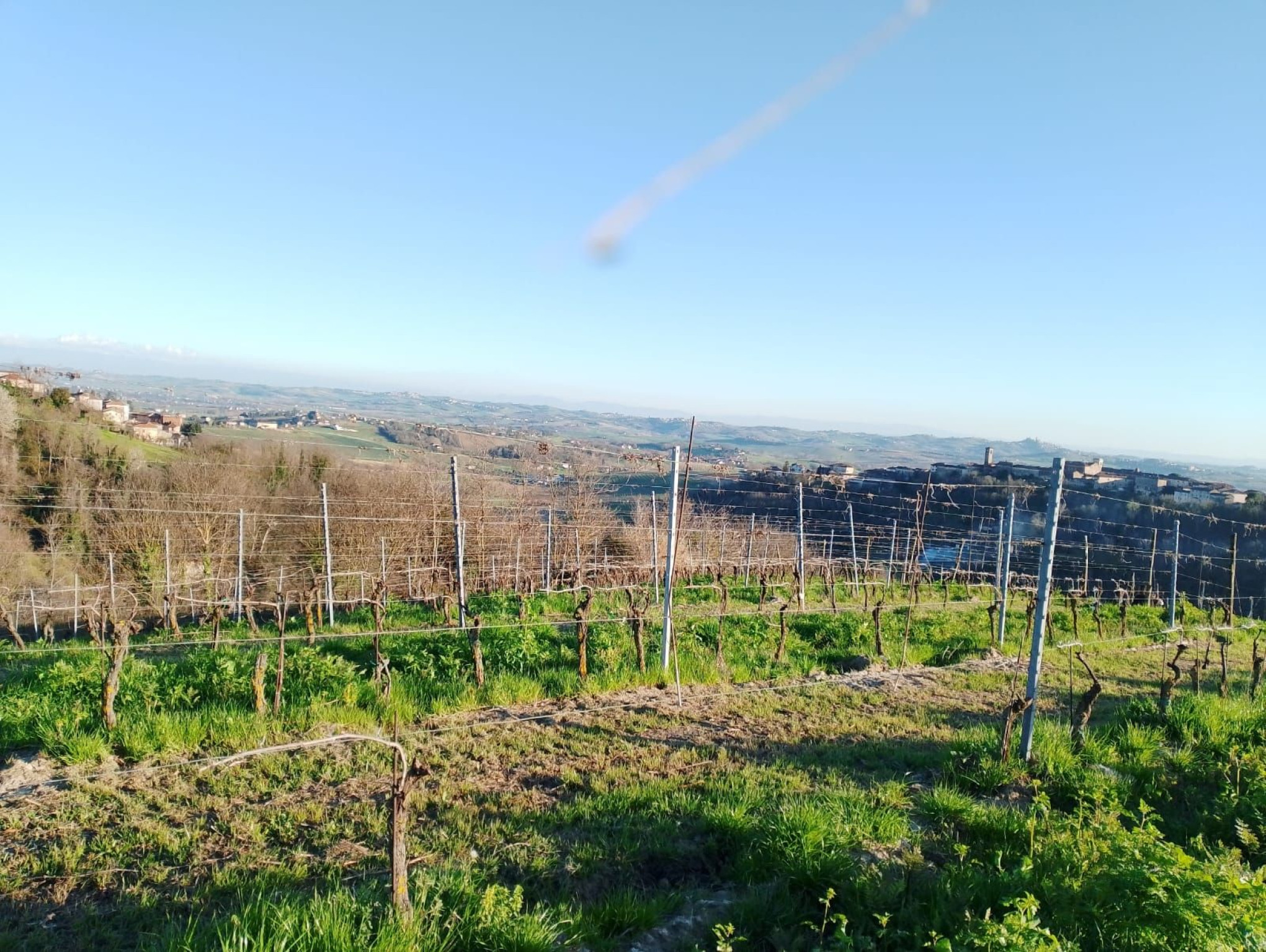 Hero Tra Vigneti e Storia: Esplorando il Monferrato da Terruggia a Sala Monferrato, passando da Rosignano