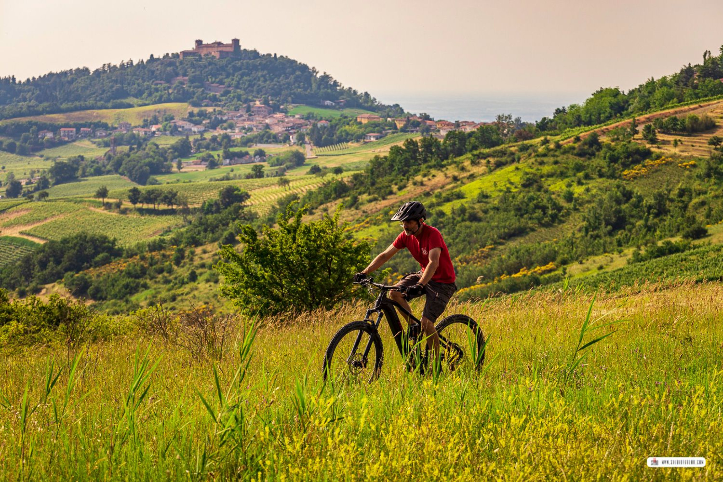 Hero Tour di antiche ville e castelli