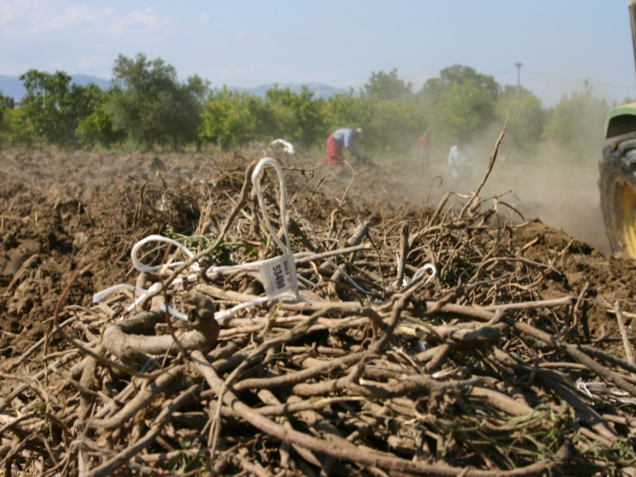 Hero Il tour della Liquirizia