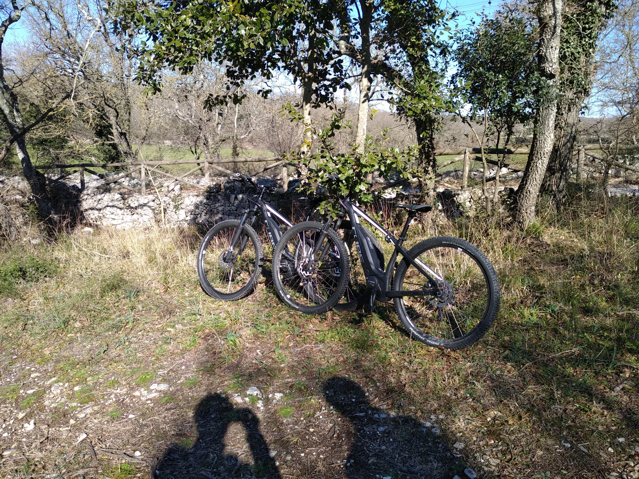 Hero Il Bosco delle Pianelle in ebike mtb