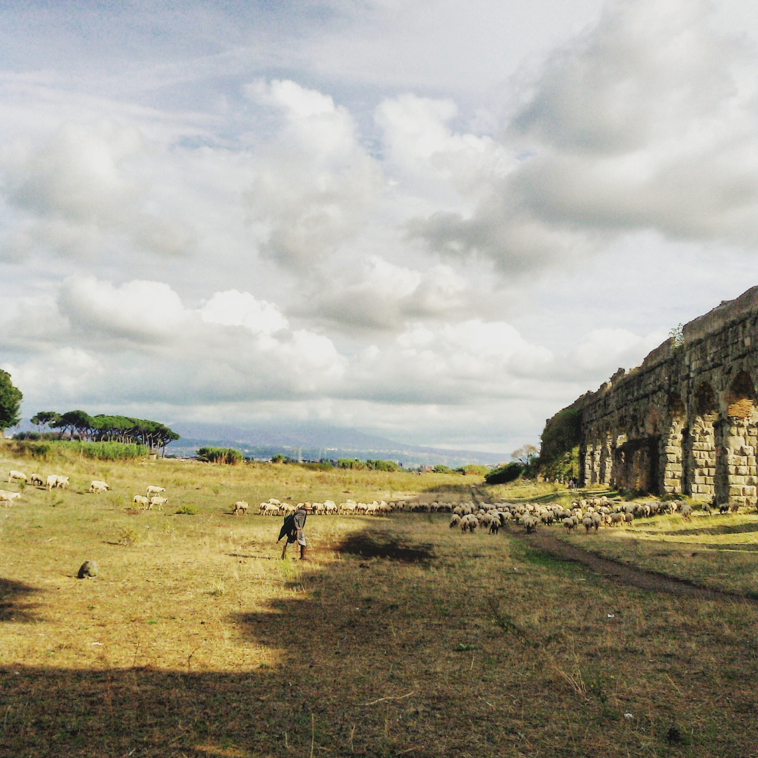 Hero GTL 1  Roma-Velletri 