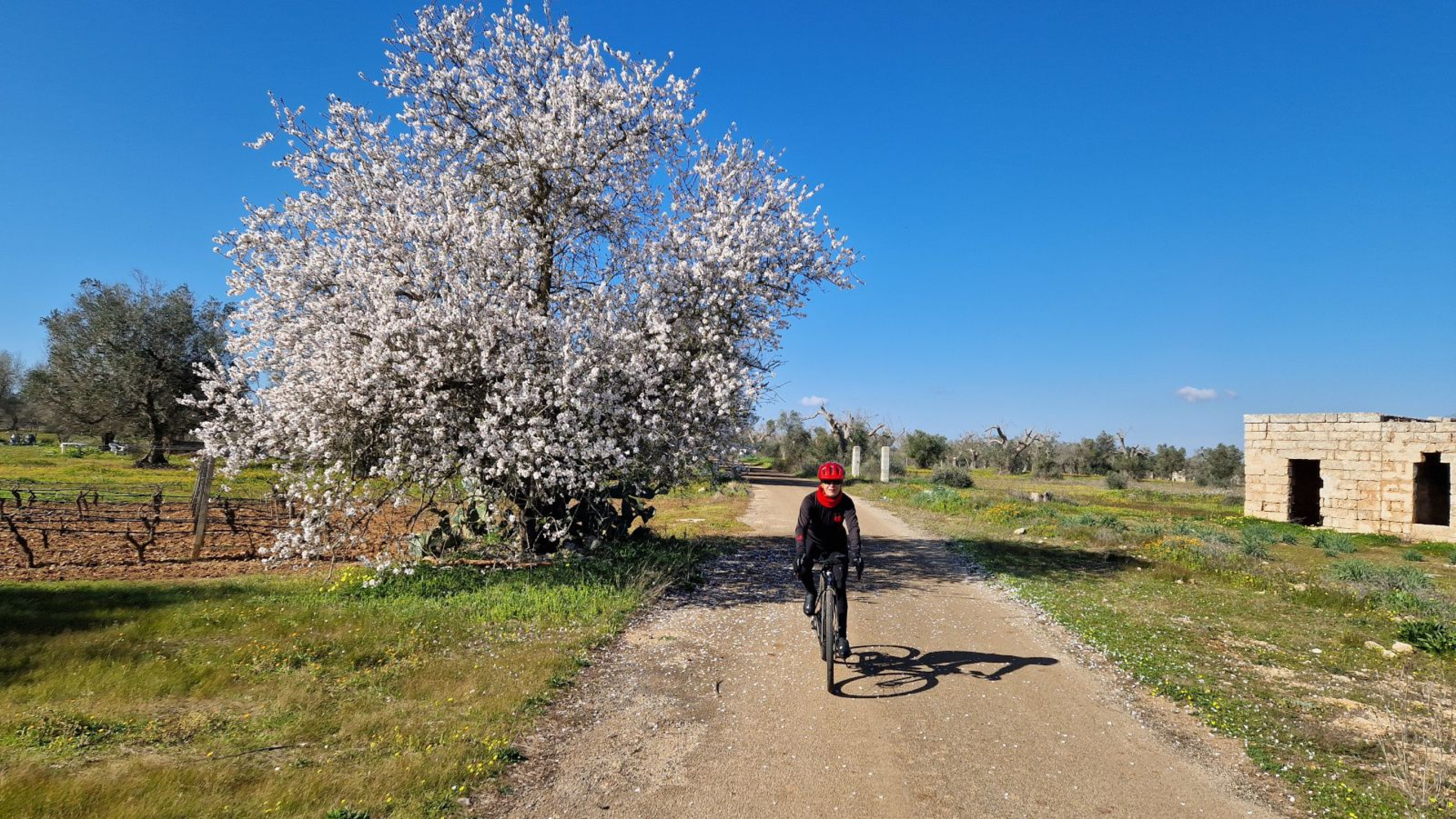 Hero Ciclonica: la ciclovia del Salento Ionico