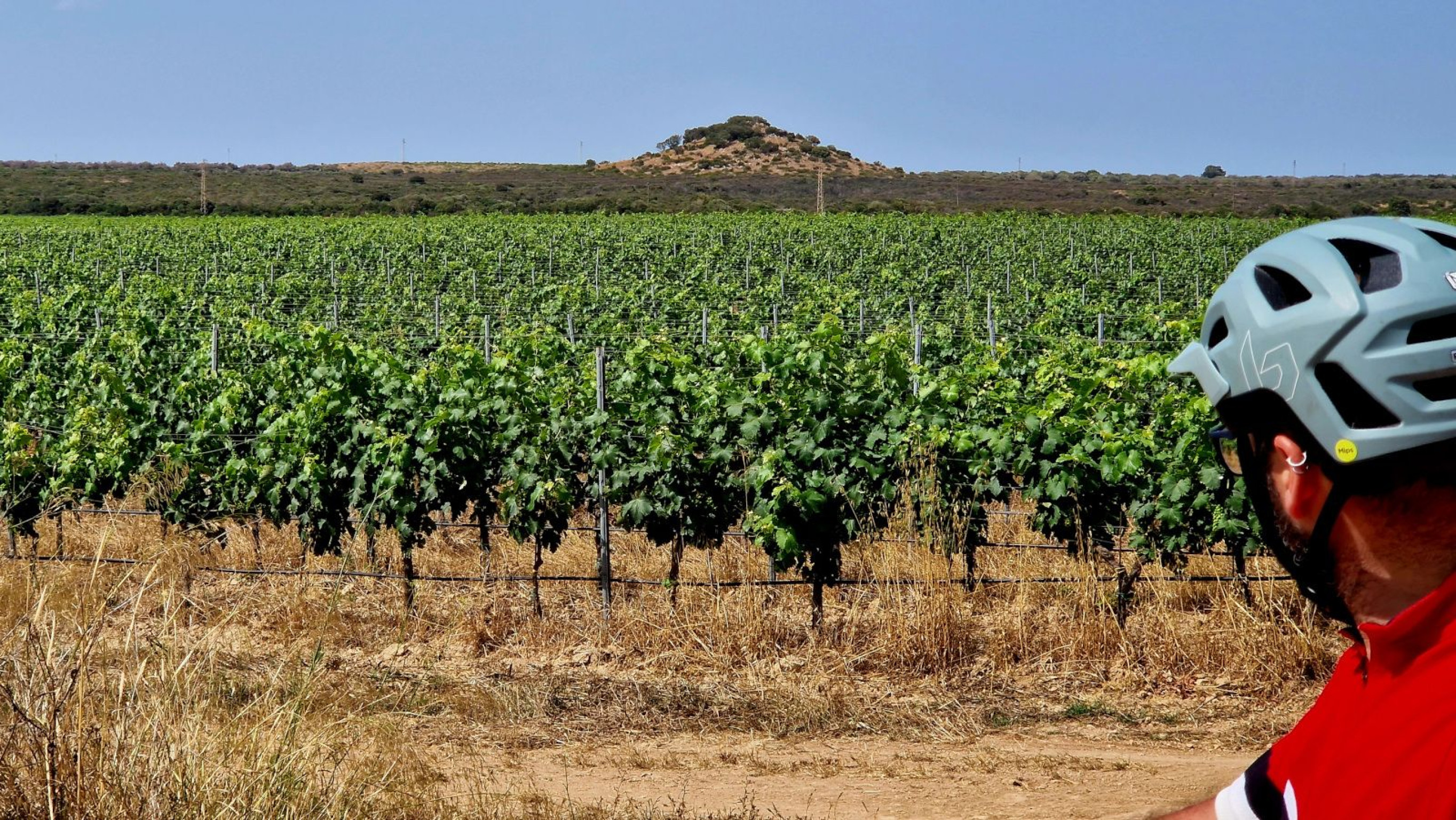 Hero Mare, vigneti e macchia mediterranea