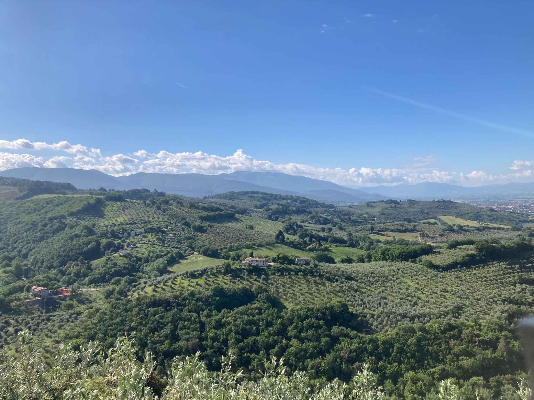 Hero L'itinerario dei prodotti tipici di Spello e su su fino a San Giovanni di Collepino