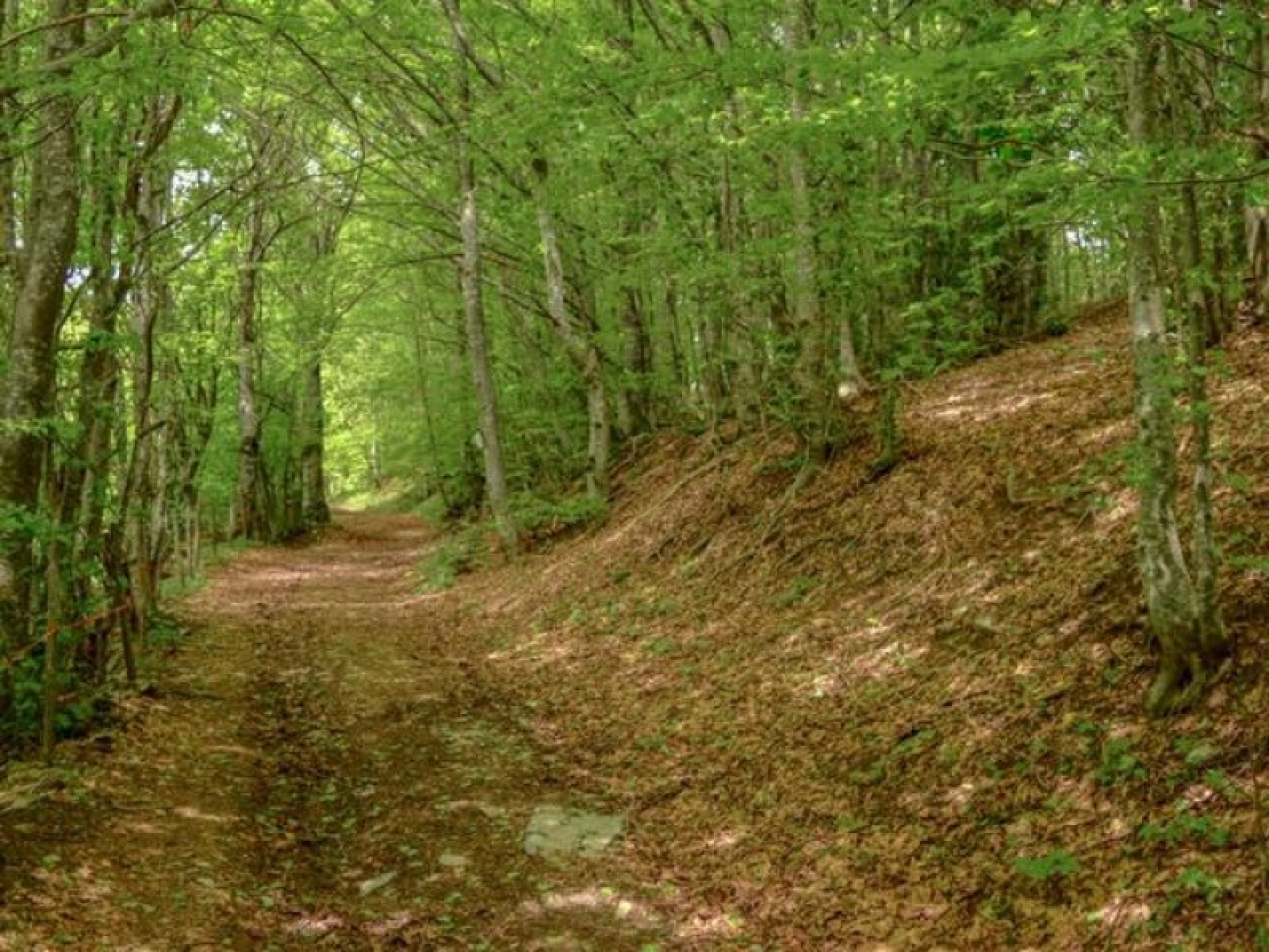 Hero Nel Parco dell'Alta Val Borbera