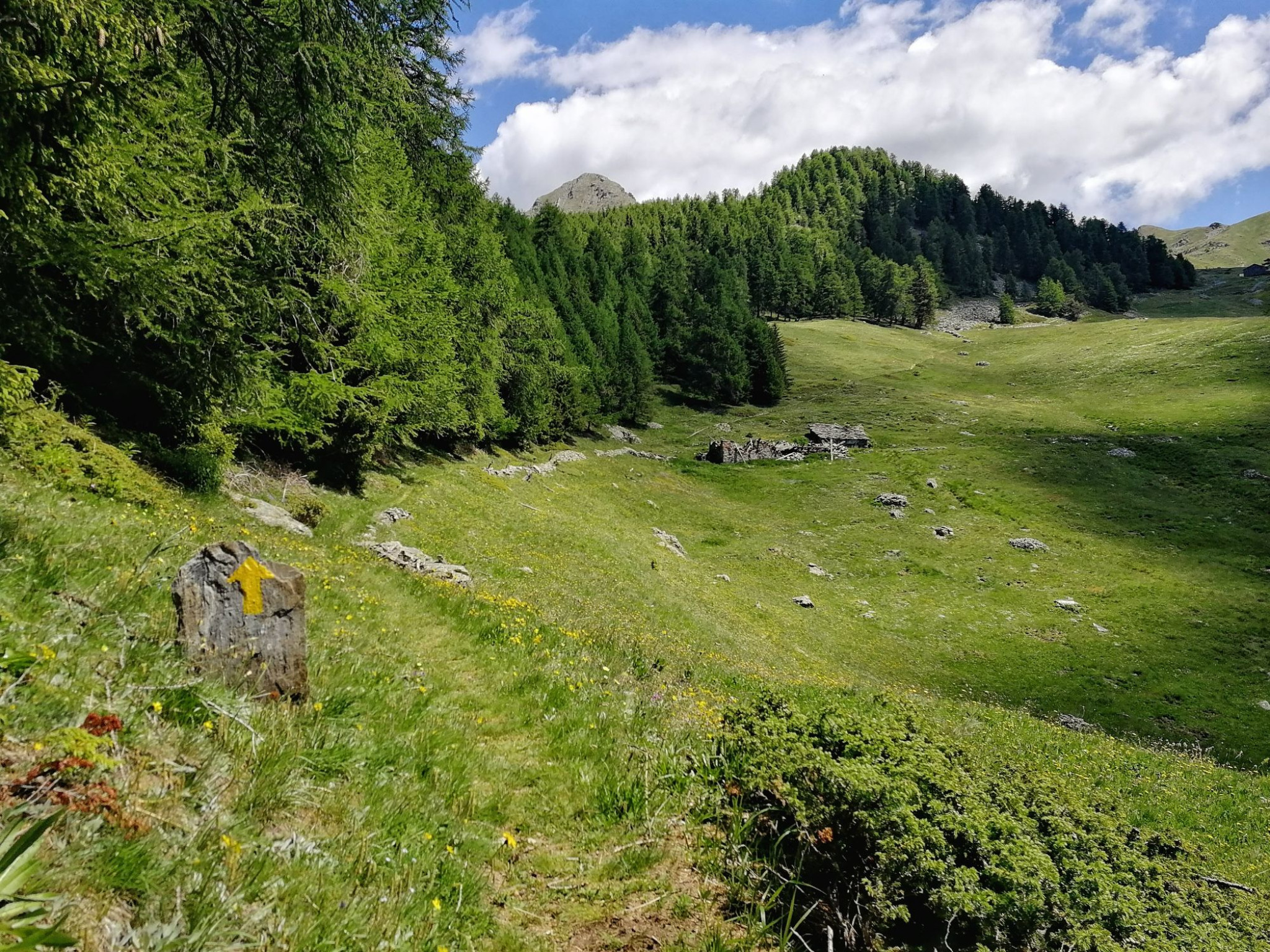 Hero Natural Enduro Zerbion