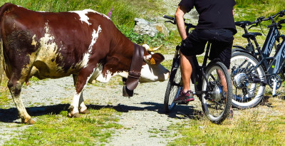 In ebike sotto il Cervino