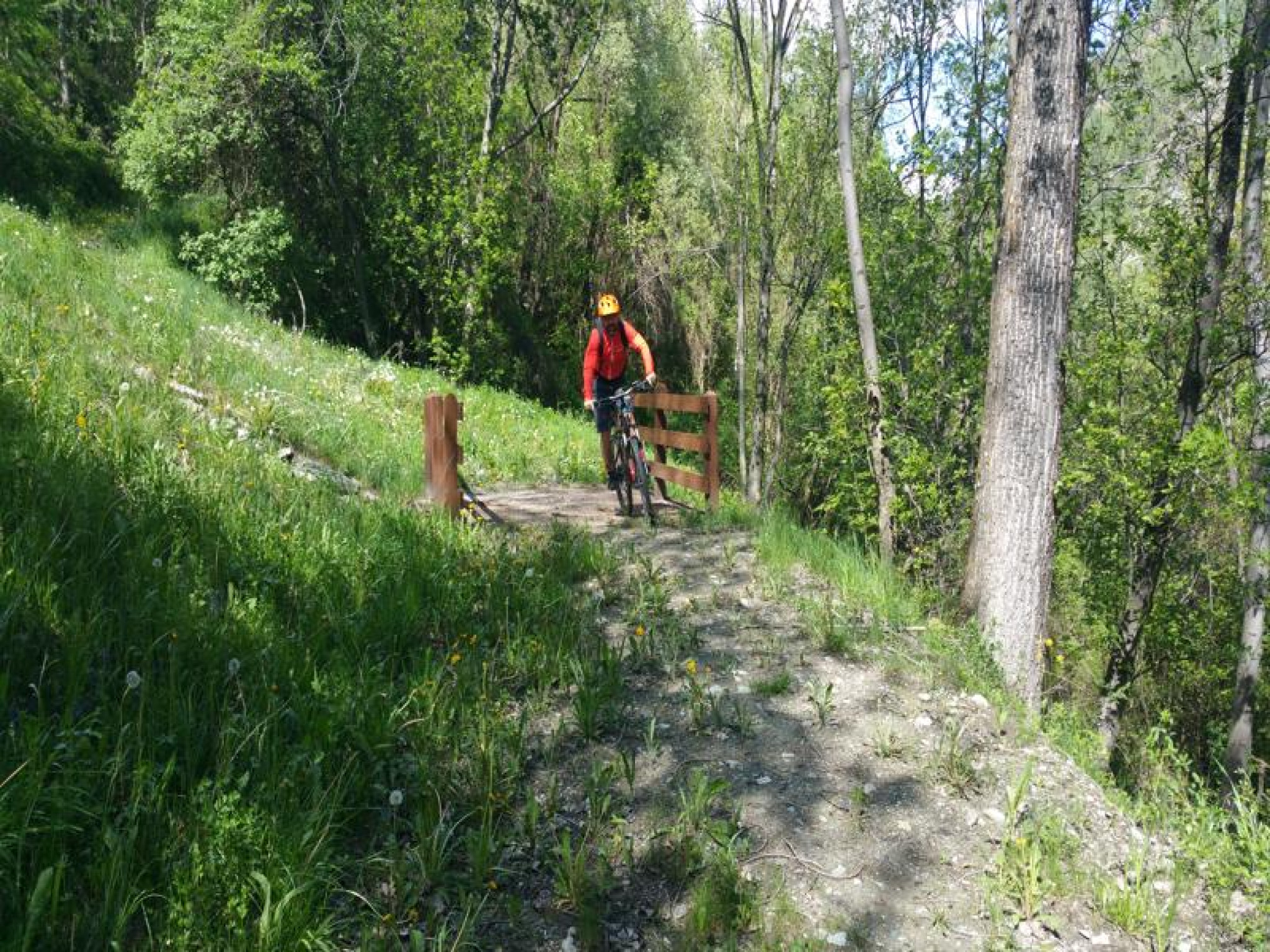 Hero La via del Prosciutto