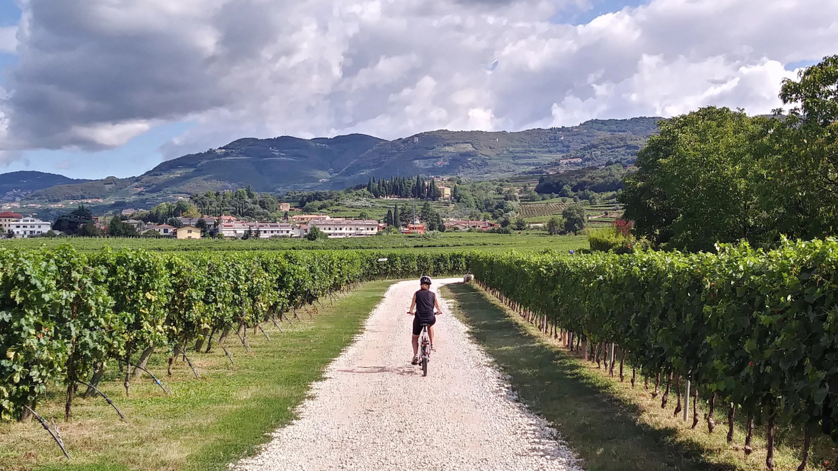 Hero A ride to Valpolicella