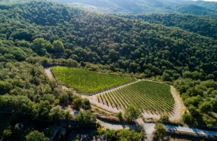chianti