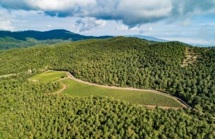 chianti
