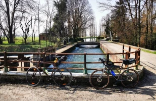 cremona