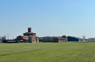 cremona