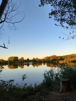 falciano-del-massico