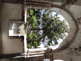 falciano-del-massico