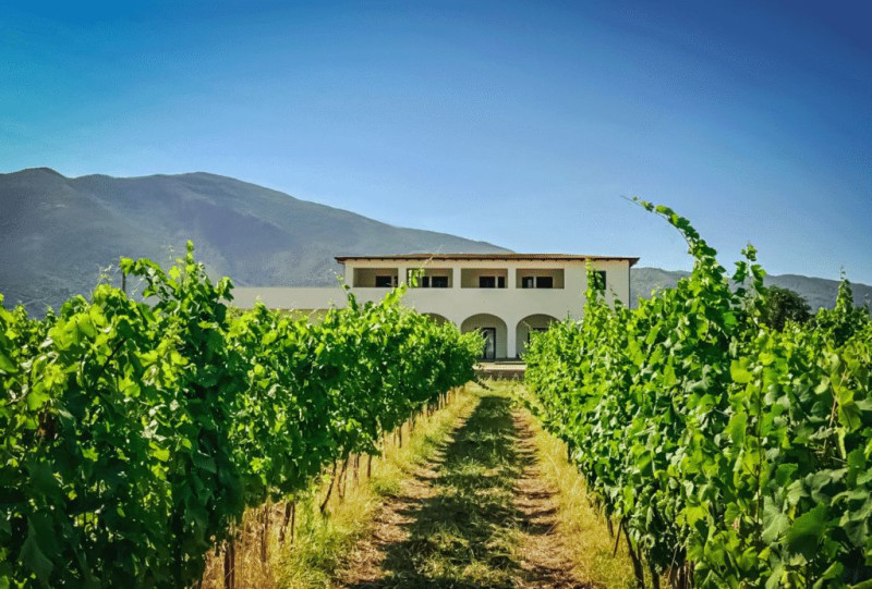 Cantina Tenuta Starza