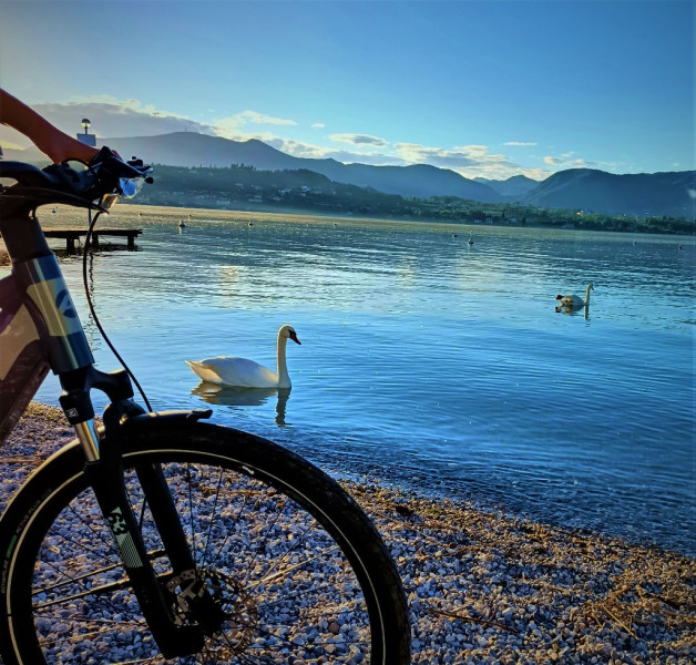 Punto di noleggio ebike BikeSquare - Manerba del Garda