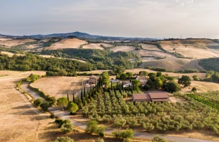 maremma