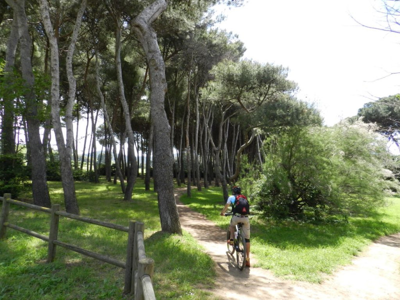  Punto noleggio ebike BikeSquare San Vincenzo 