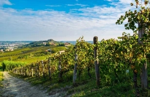 monferrato