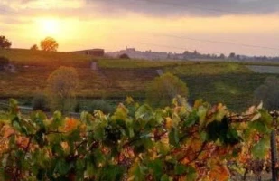 monferrato